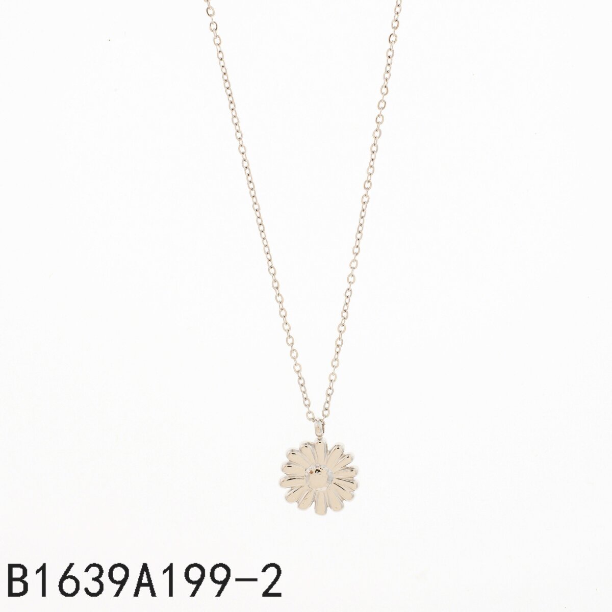 Collar Medalla Plata