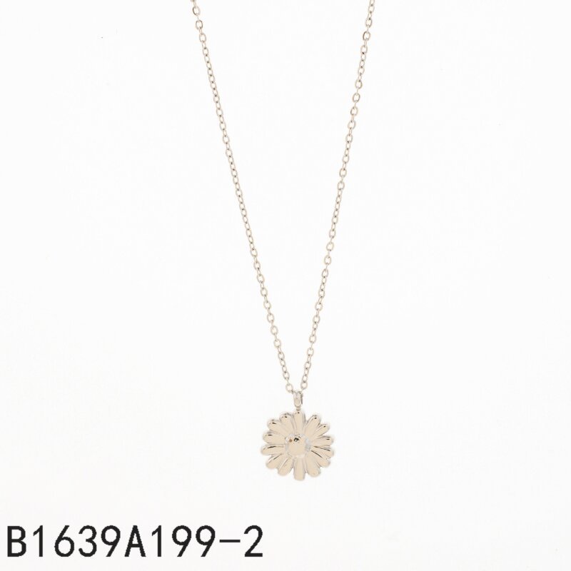 Collar Medalla Plata
