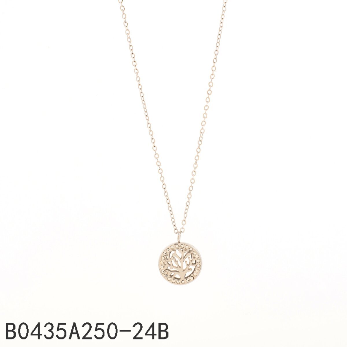 Collar Círculo de Zirconias Plata