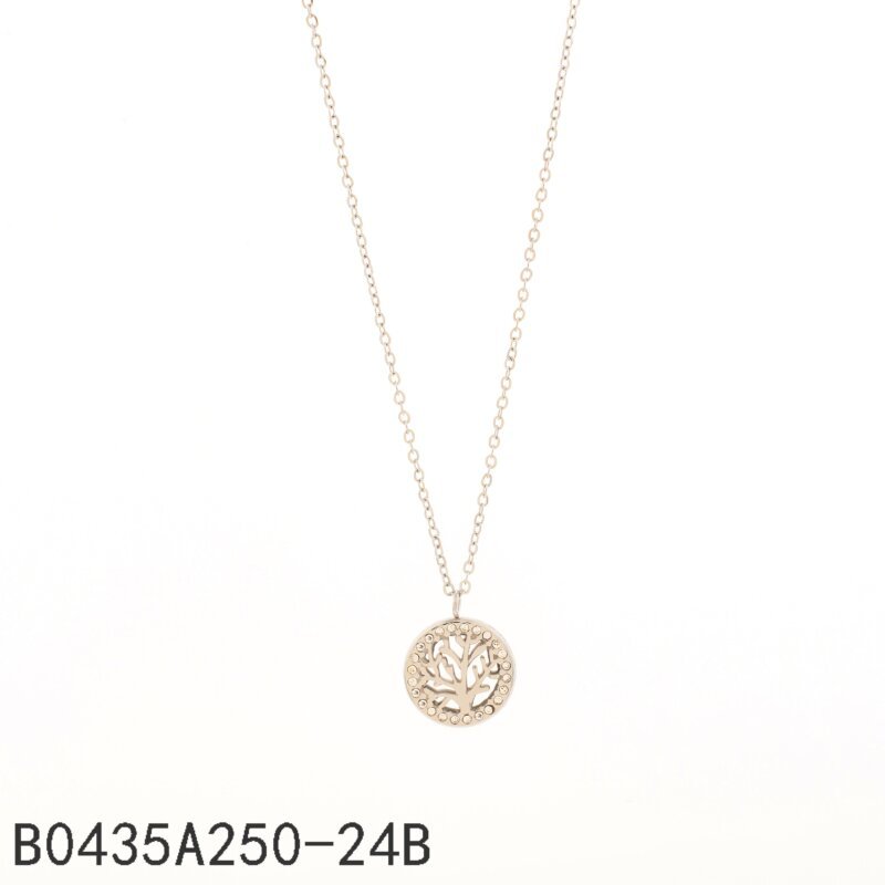 Collar Círculo de Zirconias Plata