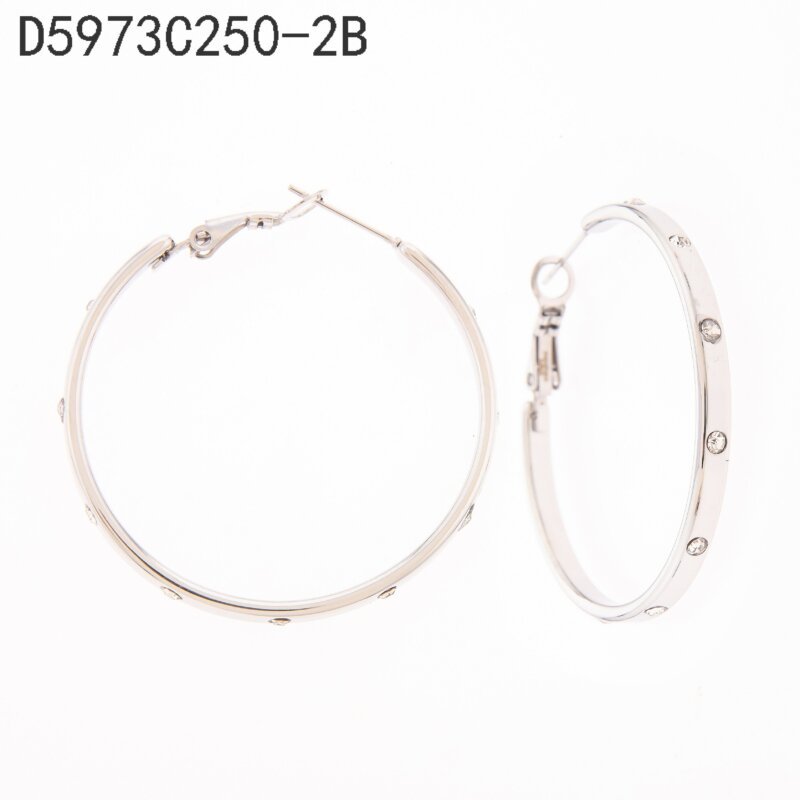 Arracadas de Zirconias Plata