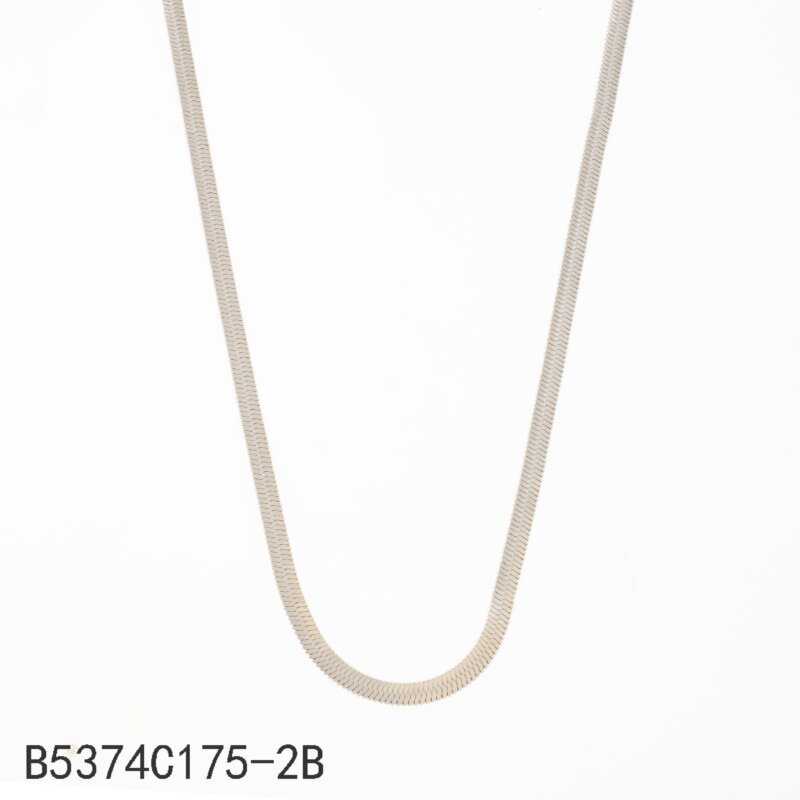 Collar Cadena Plana Plata