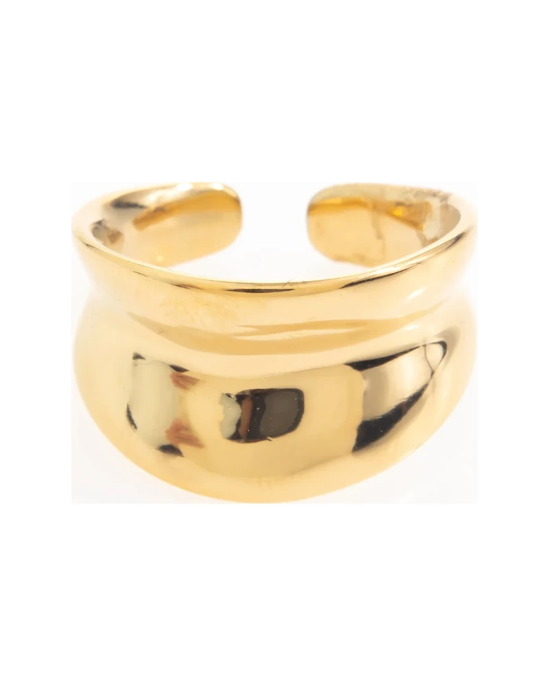Anillo Ancho Domo Dorado