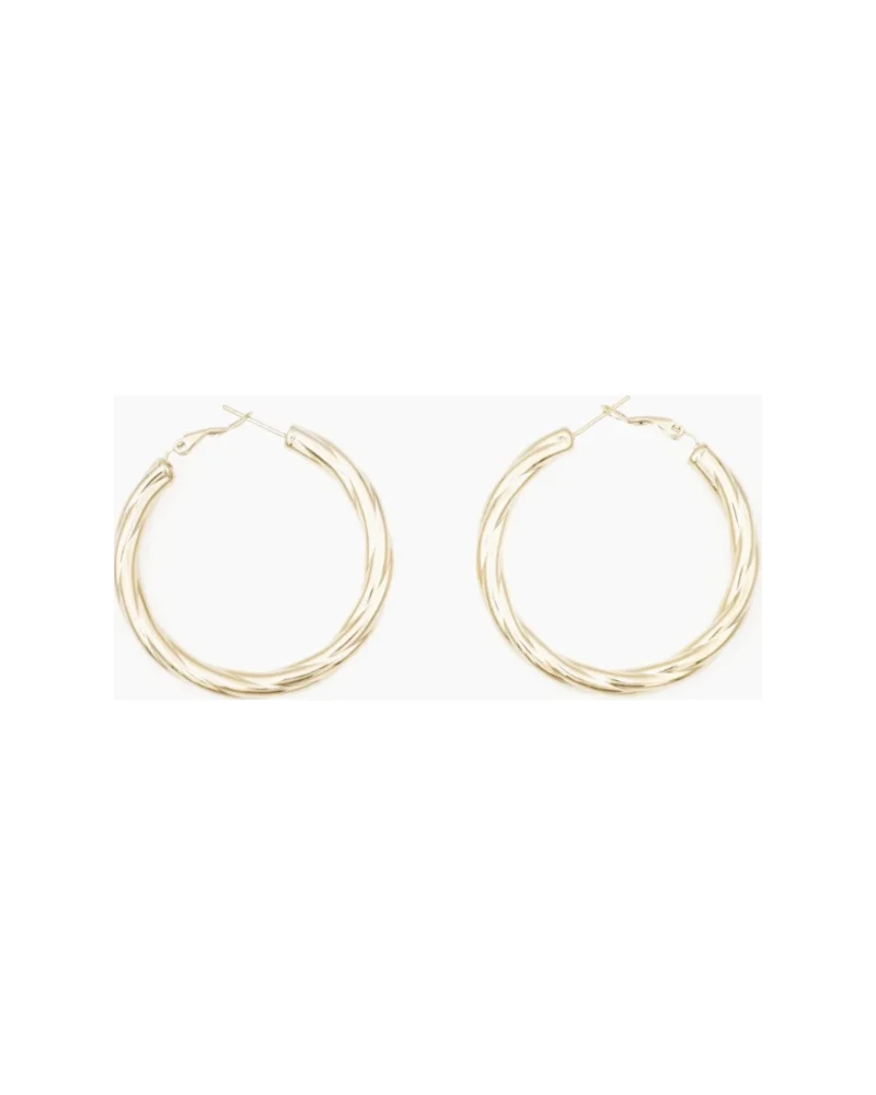Aretes Twisted Hoop