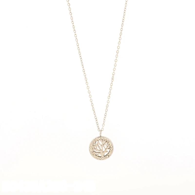 Collar Círculo de Zirconias Plata