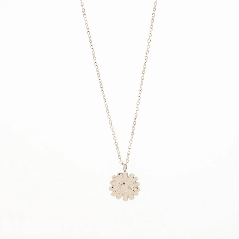 Collar Medalla Plata