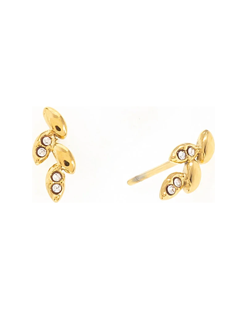 Aretes Hoja Trepadora Dorado