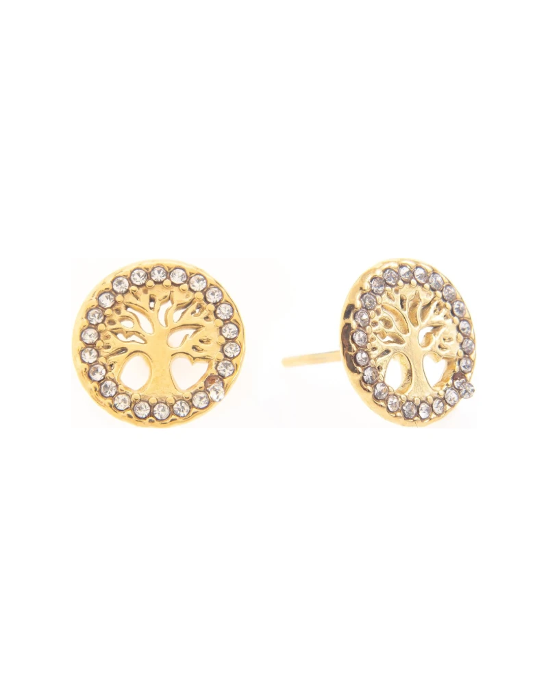 Aretes Medallon Oval Dorado