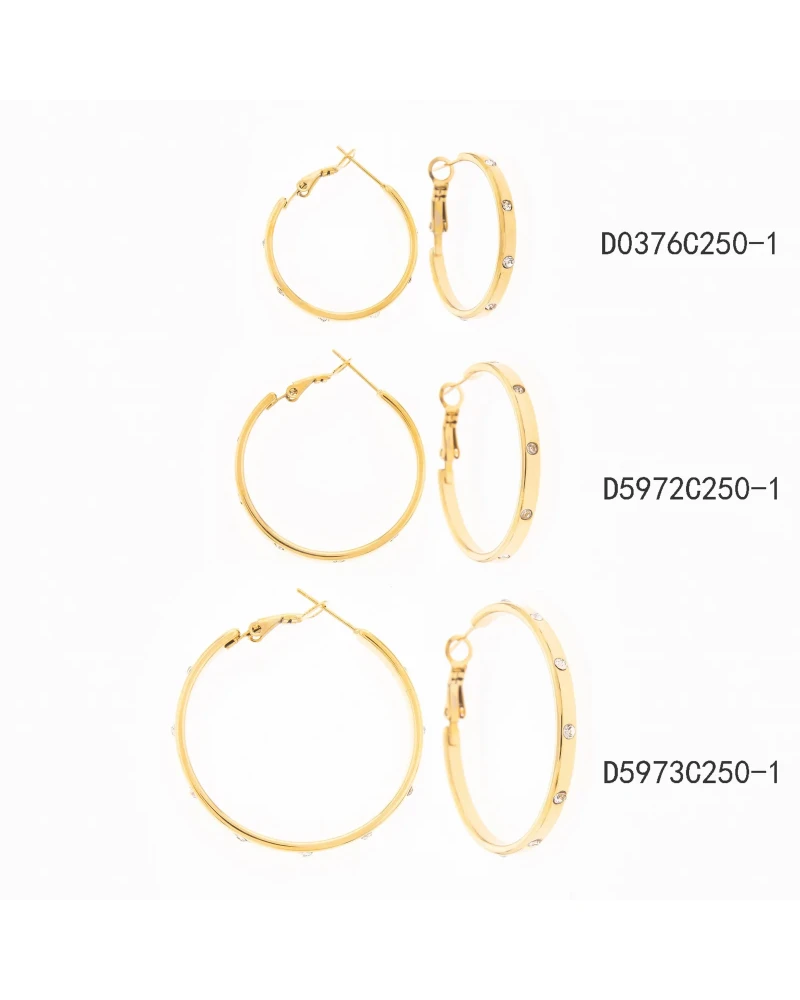 Set de Arracadas Surtidas Plata