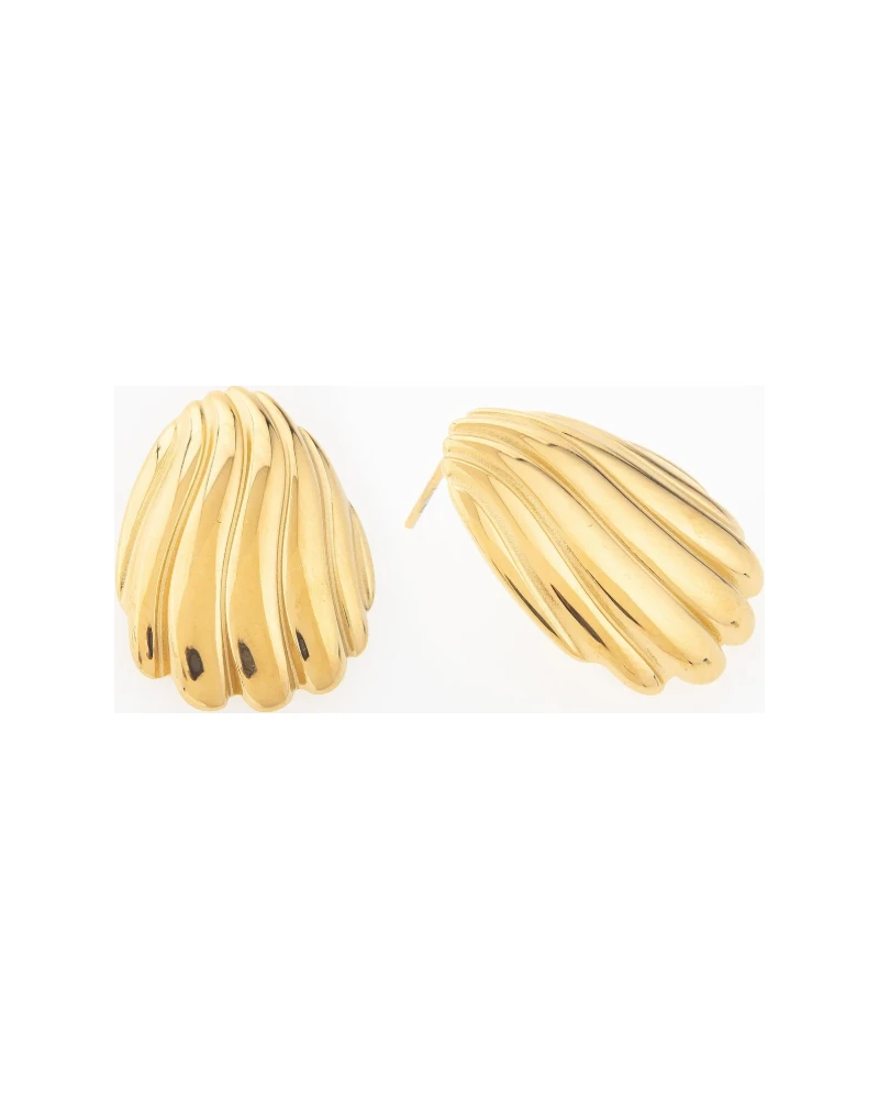 Aretes Concha Dorado