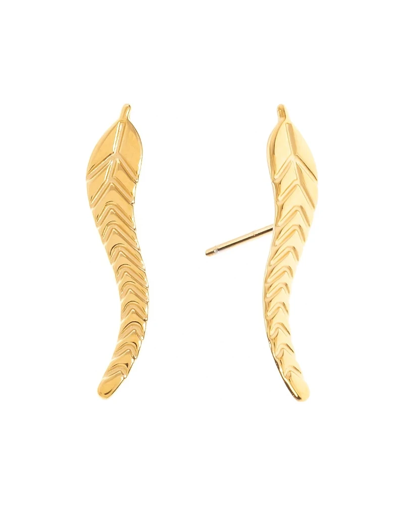 Aretes Ala Trepadora Dorado